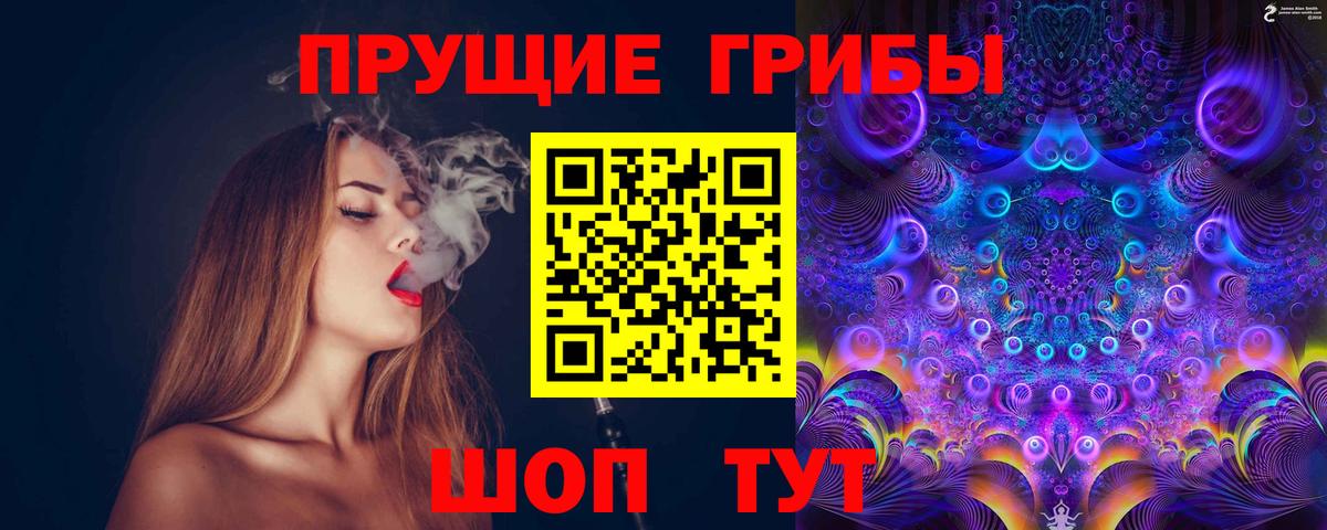 Новоуральск  Псилоцибиновые грибы MAGIC MUSHROOMS  Вход с VPN 